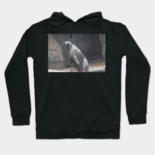 Sea Lion Hoodie